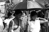 Sri Lanka Mimmo - 231